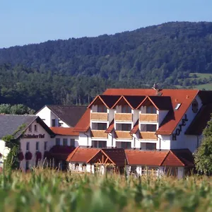 Hotel Hotel-restaurant Fränkischer Hof